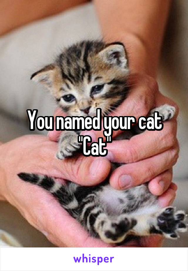You named your cat "Cat"