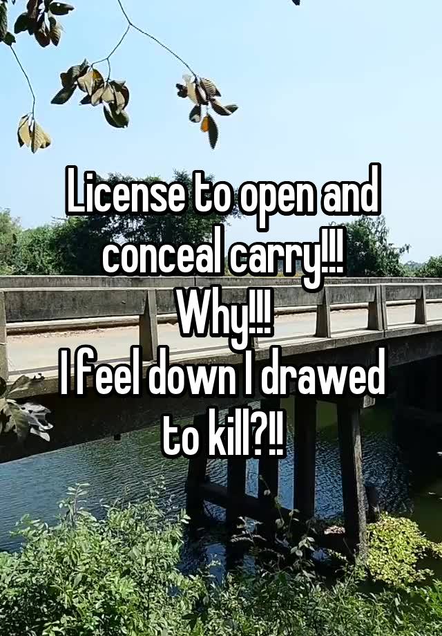 License to open and conceal carry!!!
Why!!!
I feel down I drawed to kill?!!