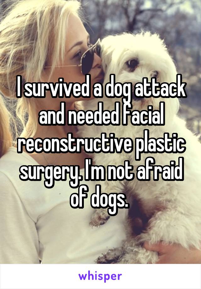 I survived a dog attack and needed facial reconstructive plastic surgery. I'm not afraid of dogs. 