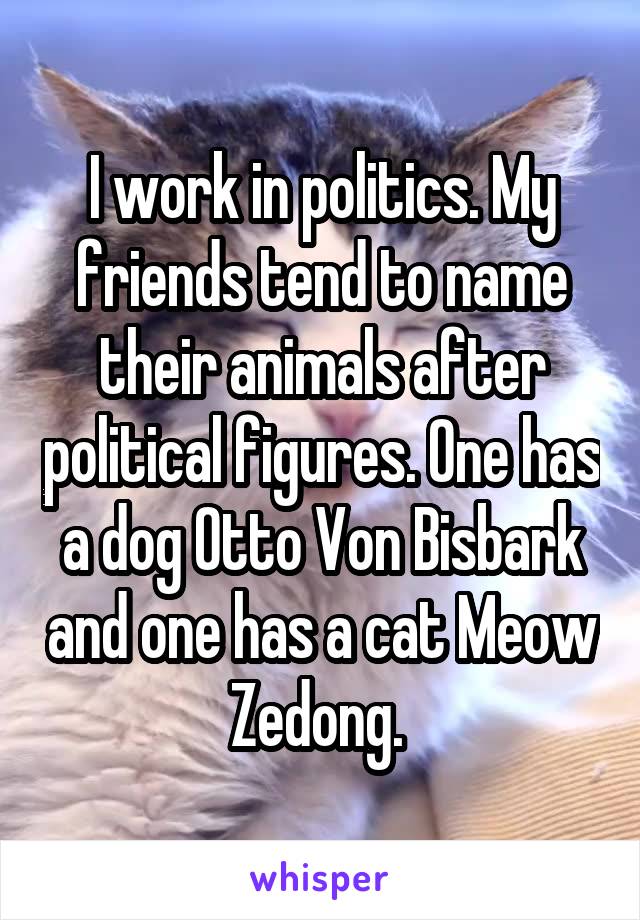  I work in politics. My friends tend to name their animals after political figures. One has a dog Otto Von Bisbark and one has a cat Meow Zedong. 