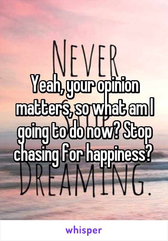 Yeah, your opinion matters, so what am I going to do now? Stop chasing for happiness? 
