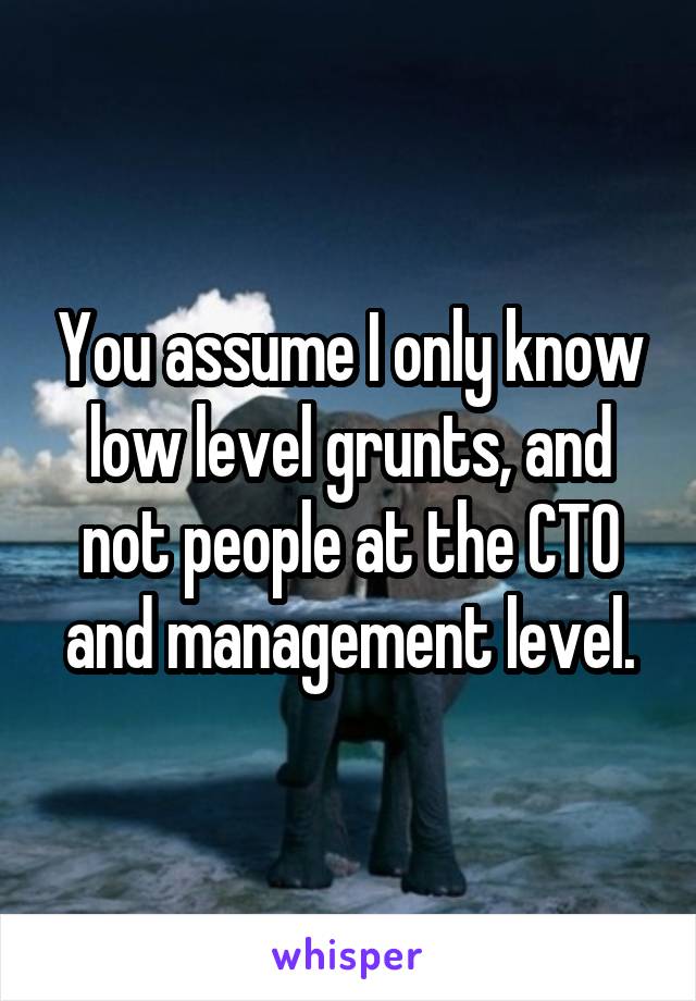 You assume I only know low level grunts, and not people at the CTO and management level.