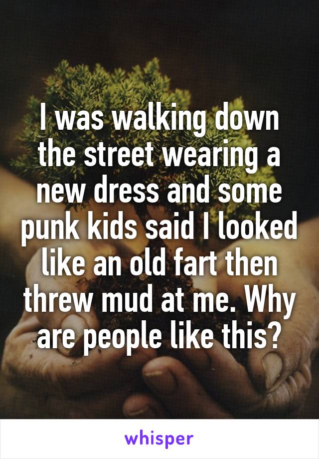 I was walking down the street wearing a new dress and some punk kids said I looked like an old fart then threw mud at me. Why are people like this?