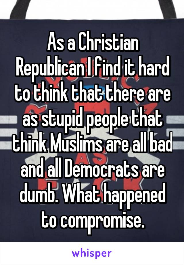 As a Christian Republican I find it hard to think that there are as stupid people that think Muslims are all bad and all Democrats are dumb. What happened to compromise.