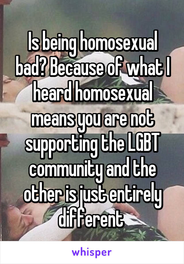 Is being homosexual bad? Because of what I heard homosexual means you are not supporting the LGBT community and the other is just entirely different 