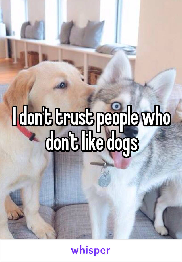 I don't trust people who don't like dogs