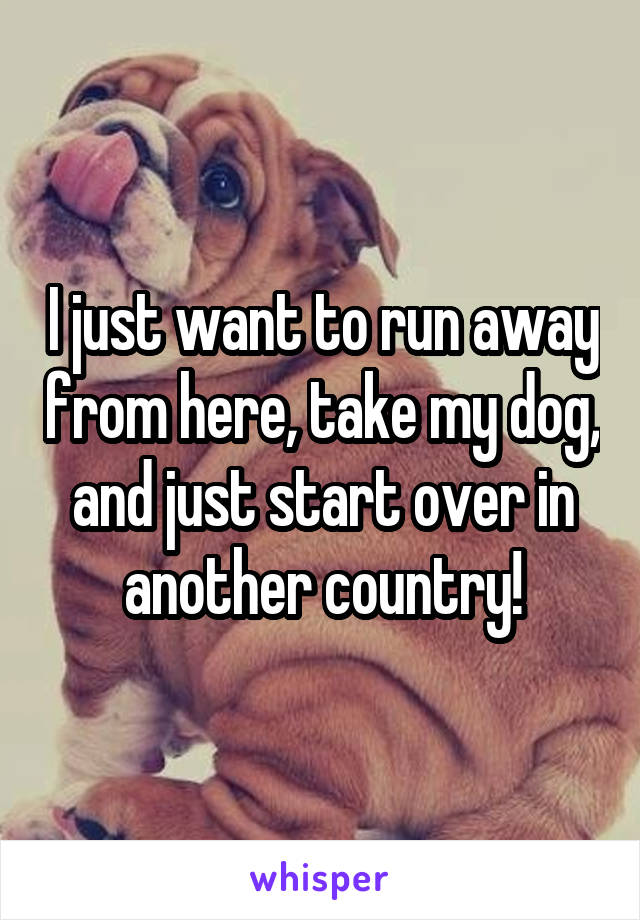 I just want to run away from here, take my dog, and just start over in another country!