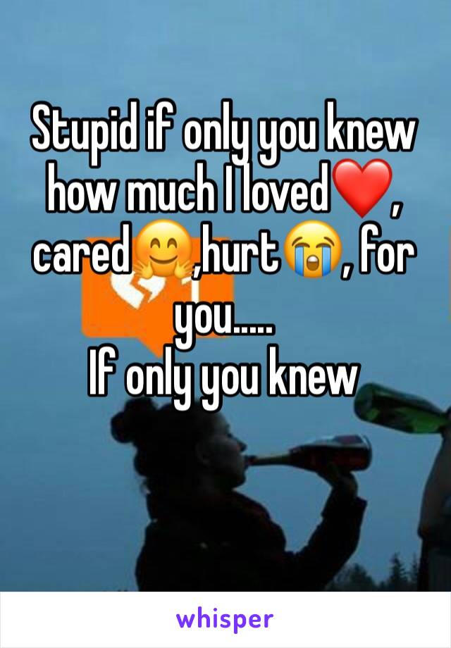 Stupid if only you knew how much I loved❤️, cared🤗,hurt😭, for you.....
If only you knew