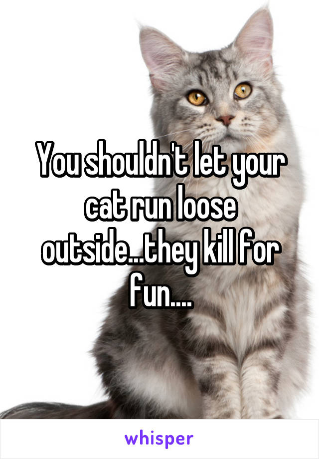You shouldn't let your cat run loose outside...they kill for fun....