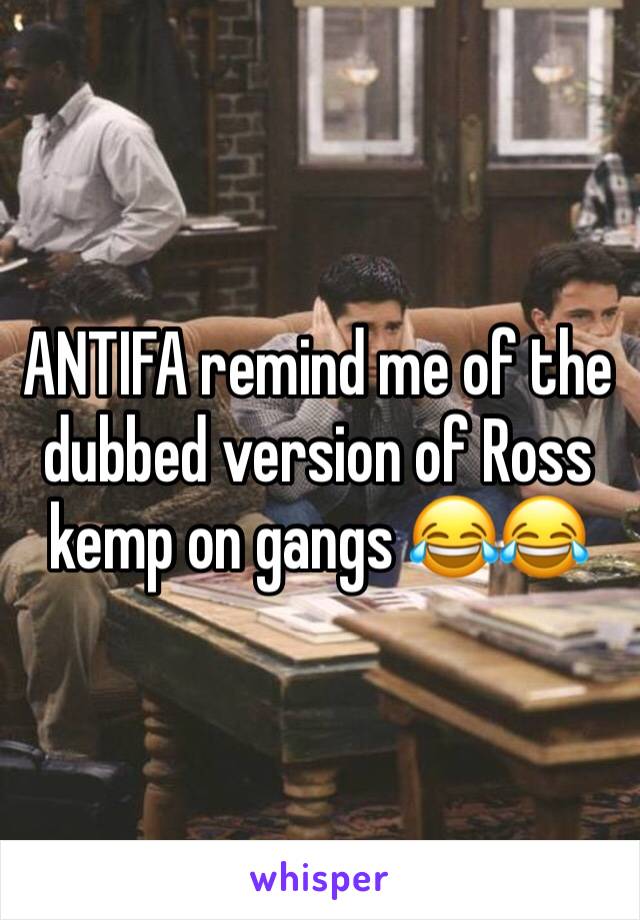 ANTIFA remind me of the dubbed version of Ross kemp on gangs 😂😂 