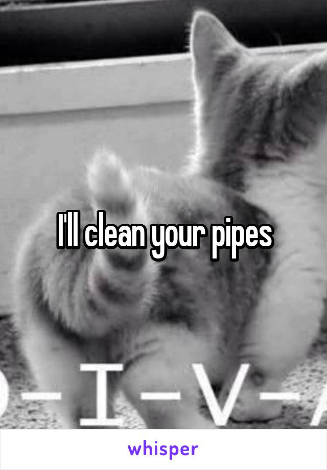 I'll clean your pipes