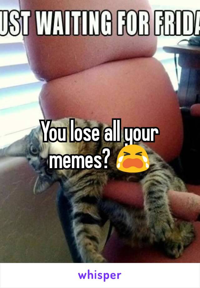 You lose all your memes? 😭