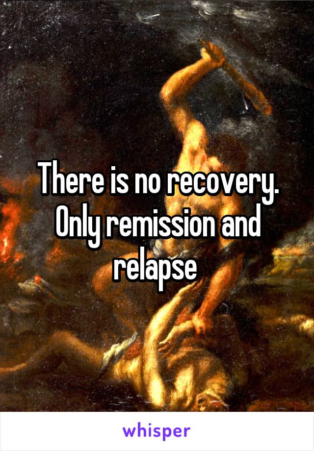 There is no recovery. Only remission and relapse 