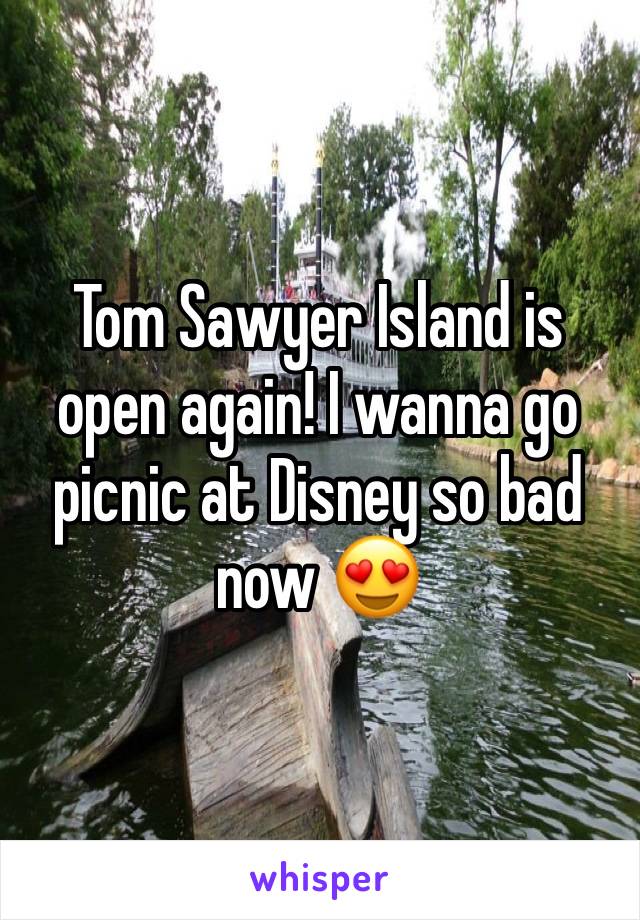 Tom Sawyer Island is open again! I wanna go picnic at Disney so bad now 😍