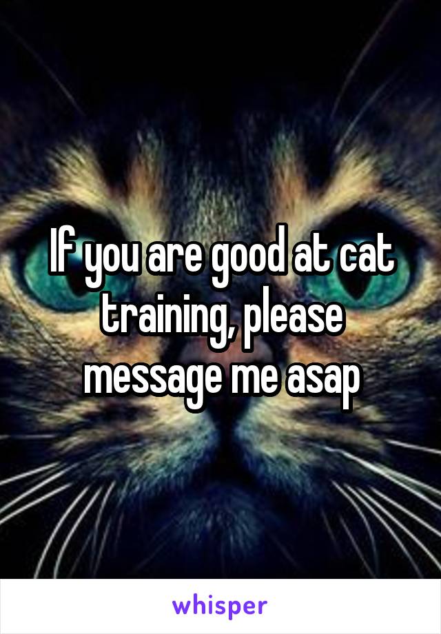 If you are good at cat training, please message me asap