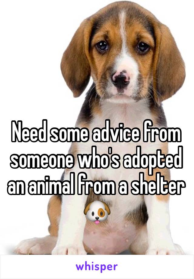 Need some advice from someone who's adopted an animal from a shelter 🐶