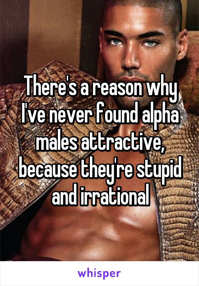 There's a reason why I've never found alpha males attractive, because they're stupid and irrational