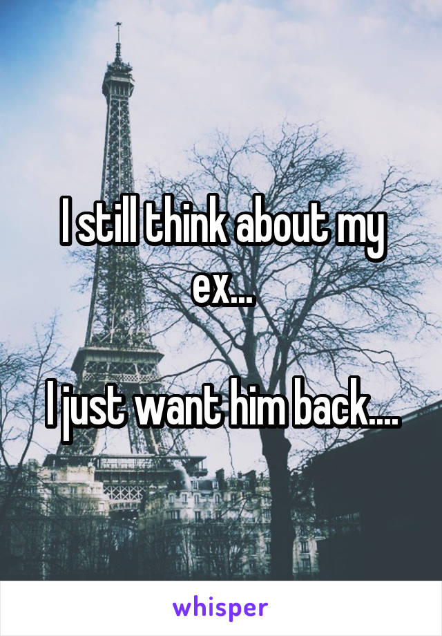 I still think about my ex...

I just want him back....