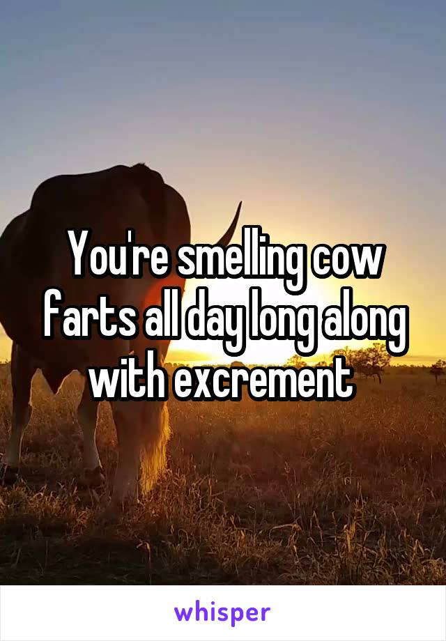 You're smelling cow farts all day long along with excrement 