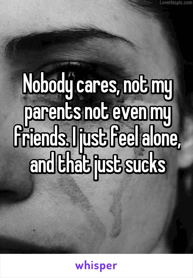 Nobody cares, not my parents not even my friends. I just feel alone, and that just sucks
