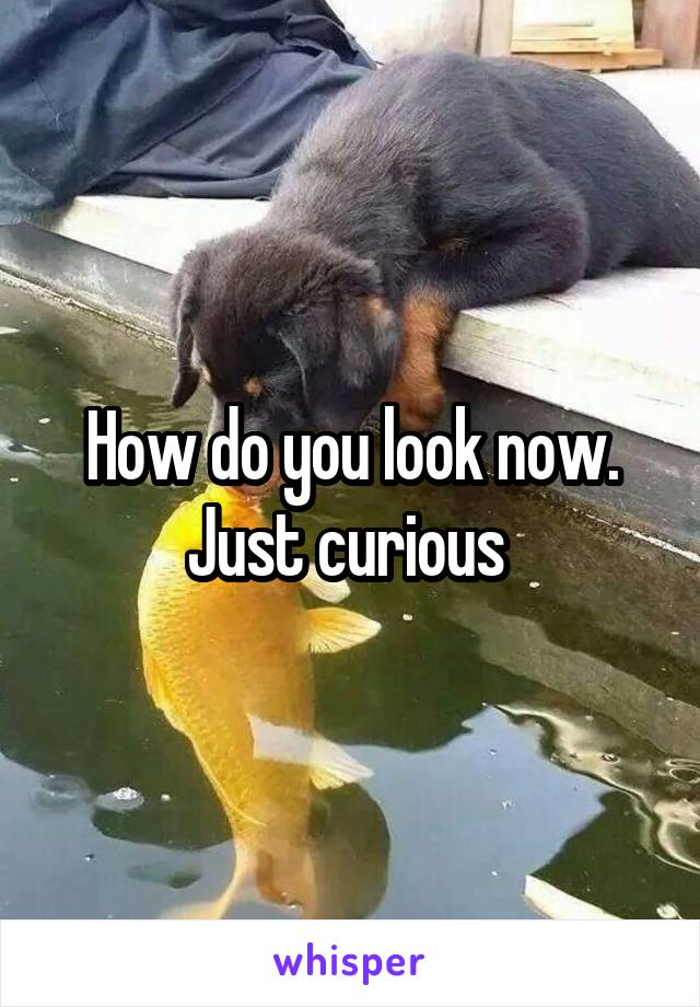 How do you look now. Just curious 