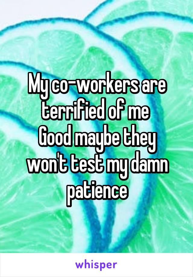 My co-workers are terrified of me 
Good maybe they won't test my damn patience