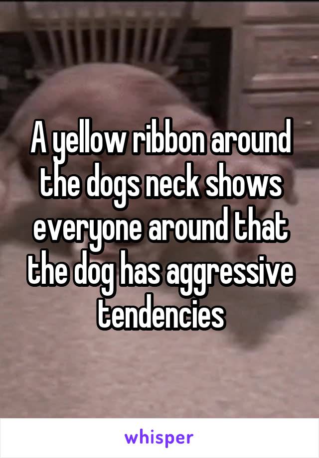 A yellow ribbon around the dogs neck shows everyone around that the dog has aggressive tendencies
