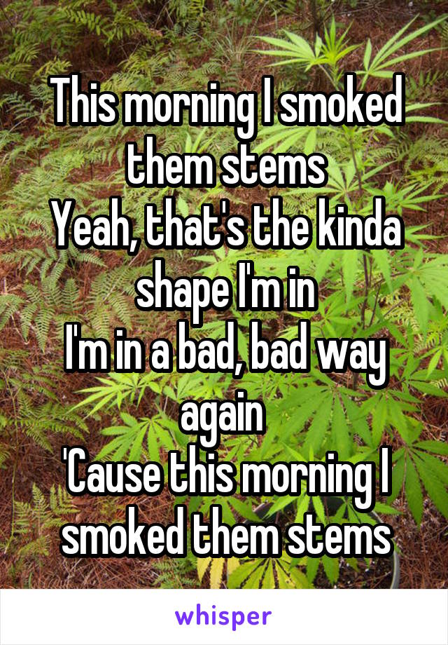 This morning I smoked them stems
Yeah, that's the kinda shape I'm in
I'm in a bad, bad way again 
'Cause this morning I smoked them stems