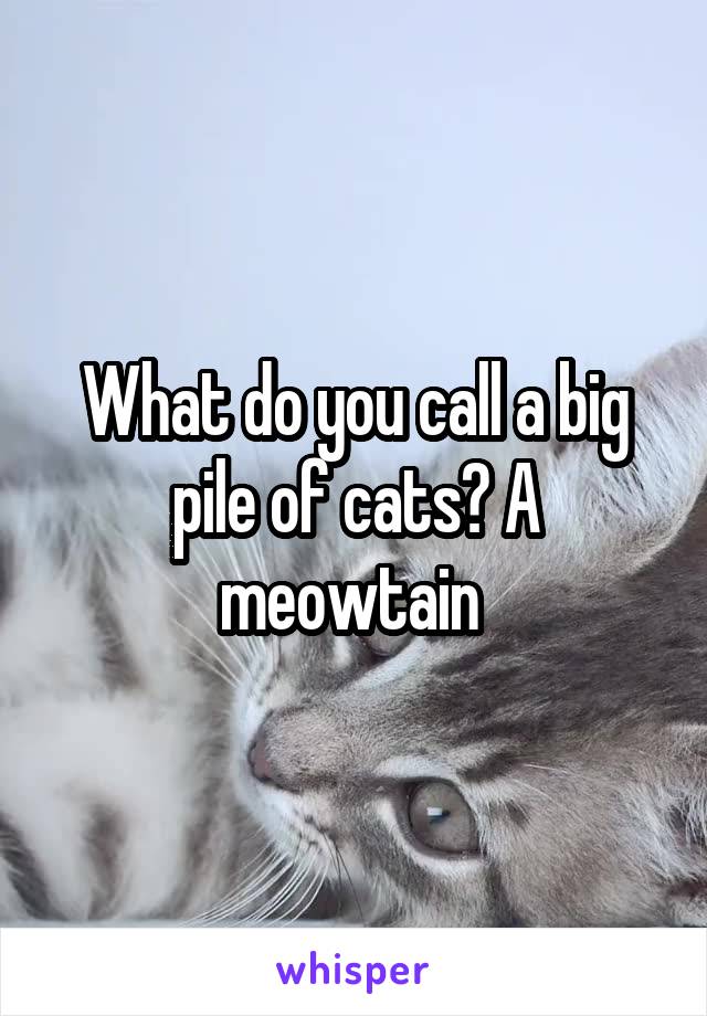 What do you call a big pile of cats? A meowtain 