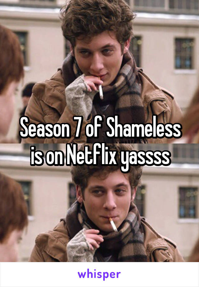Season 7 of Shameless is on Netflix yassss