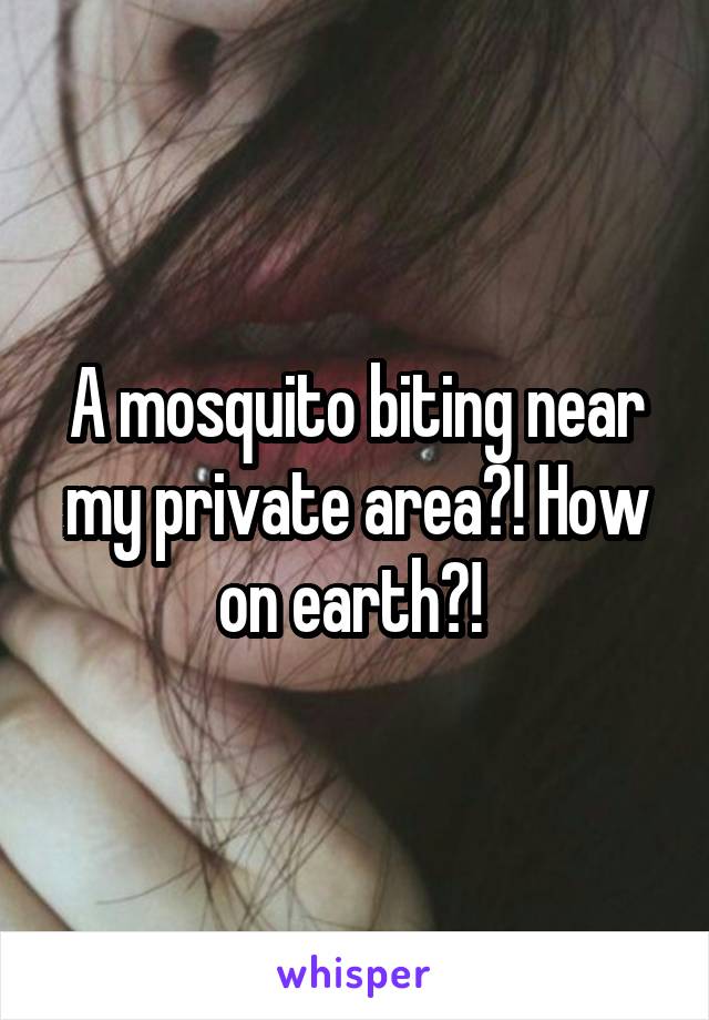 A mosquito biting near my private area?! How on earth?! 