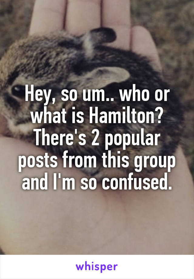 Hey, so um.. who or what is Hamilton? There's 2 popular posts from this group and I'm so confused.