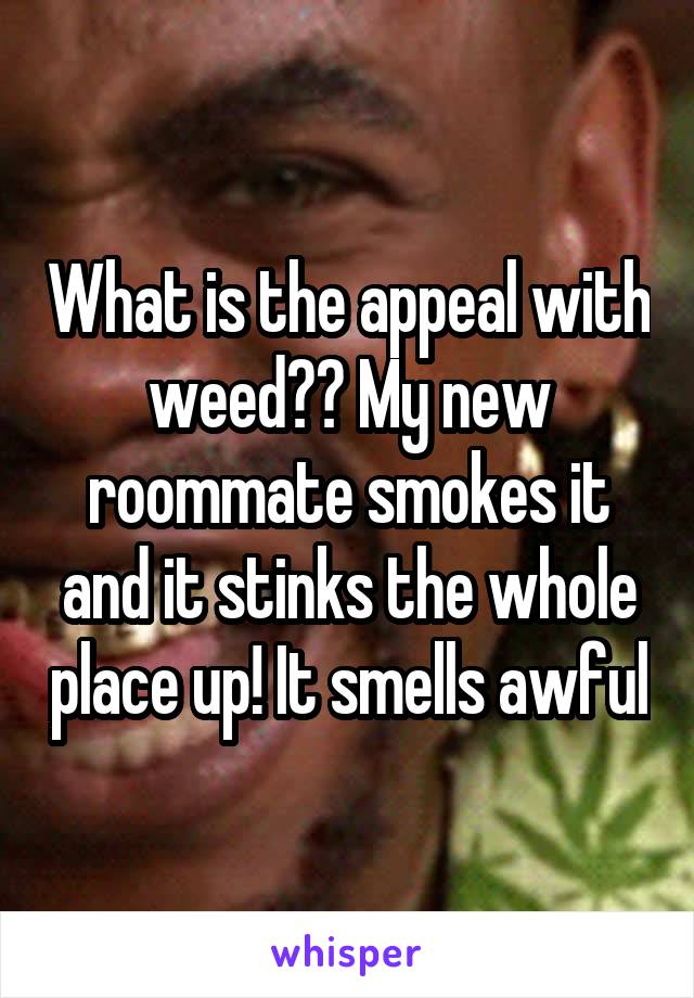 What is the appeal with weed?? My new roommate smokes it and it stinks the whole place up! It smells awful