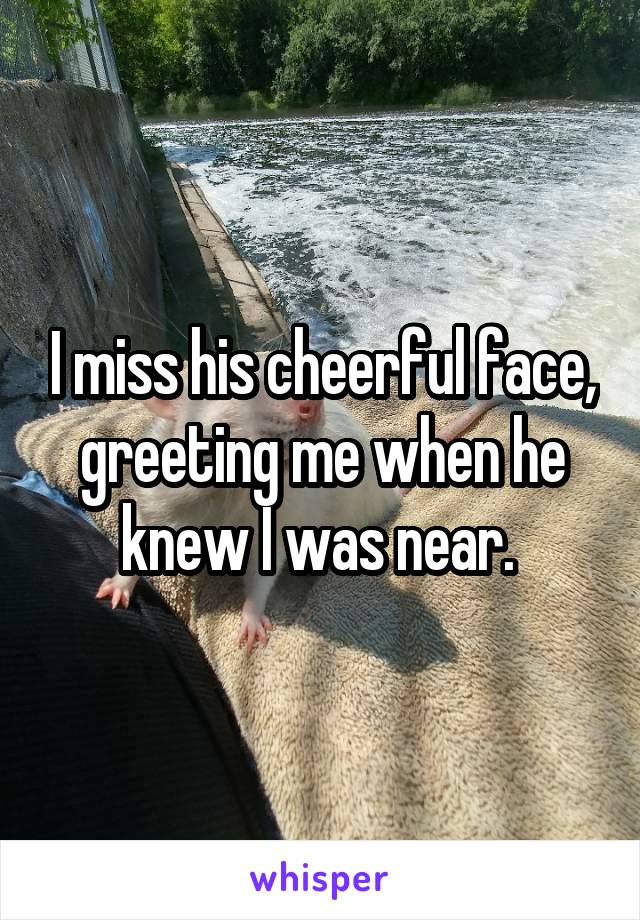 I miss his cheerful face, greeting me when he knew I was near. 