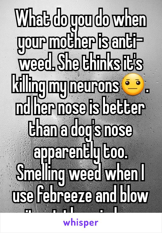 What do you do when your mother is anti-weed. She thinks it's killing my neurons😐. nd her nose is better than a dog's nose apparently too. Smelling weed when I use febreeze and blow it out the window