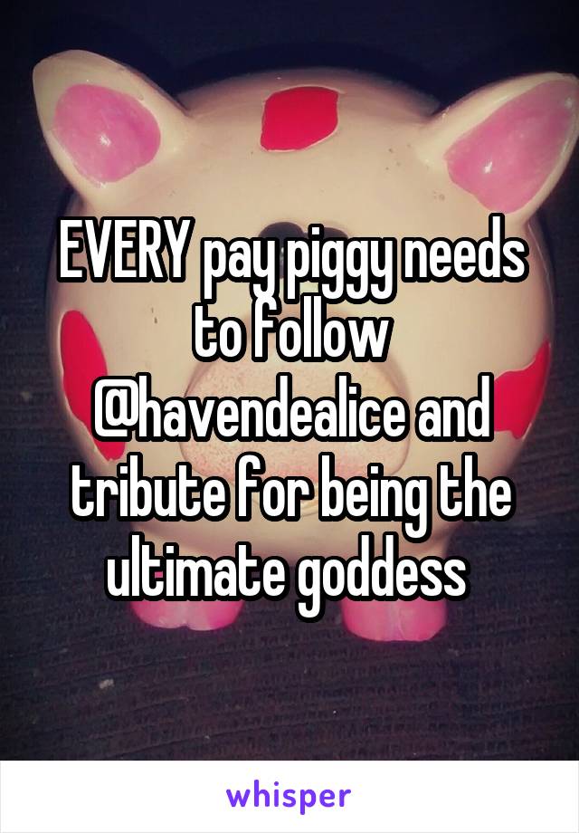 EVERY pay piggy needs to follow @havendealice and tribute for being the ultimate goddess 