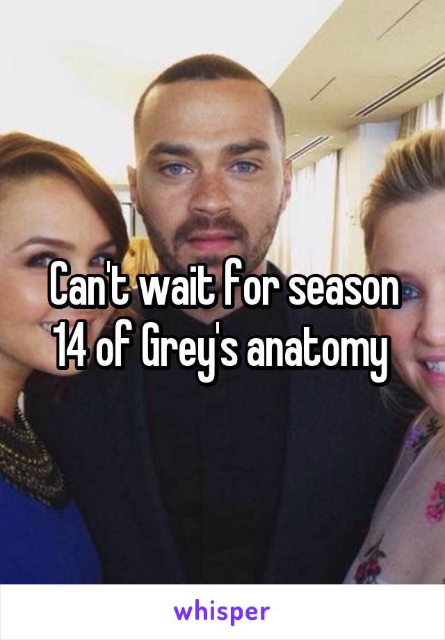 Can't wait for season 14 of Grey's anatomy 