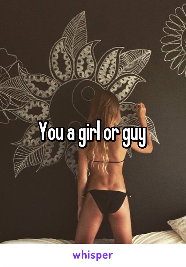 You a girl or guy 