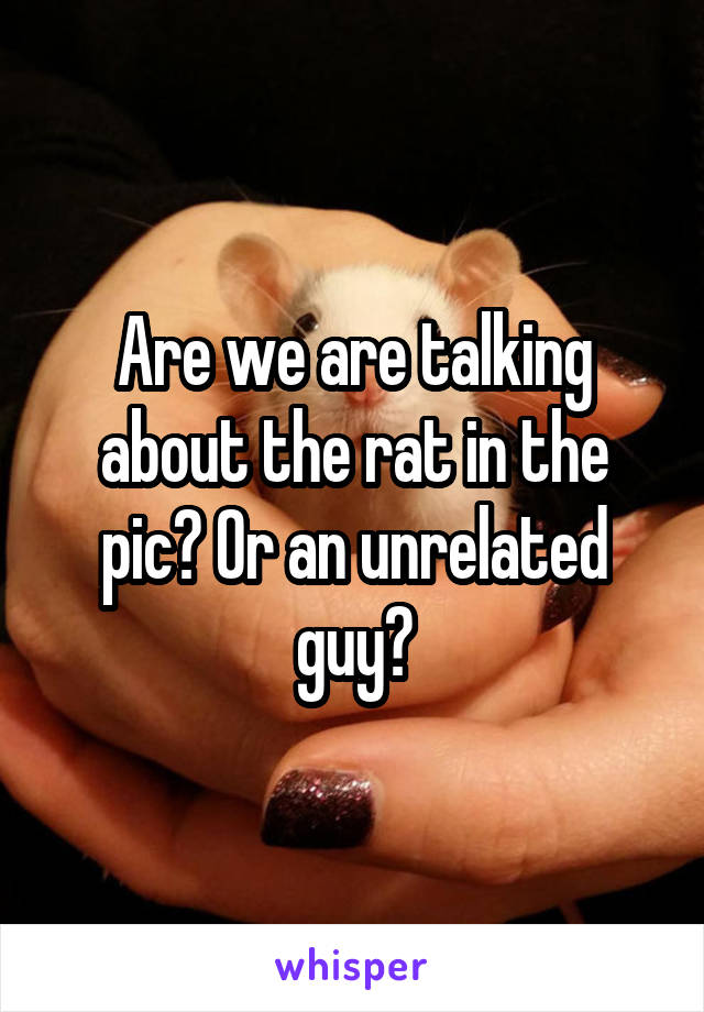 Are we are talking about the rat in the pic? Or an unrelated guy?