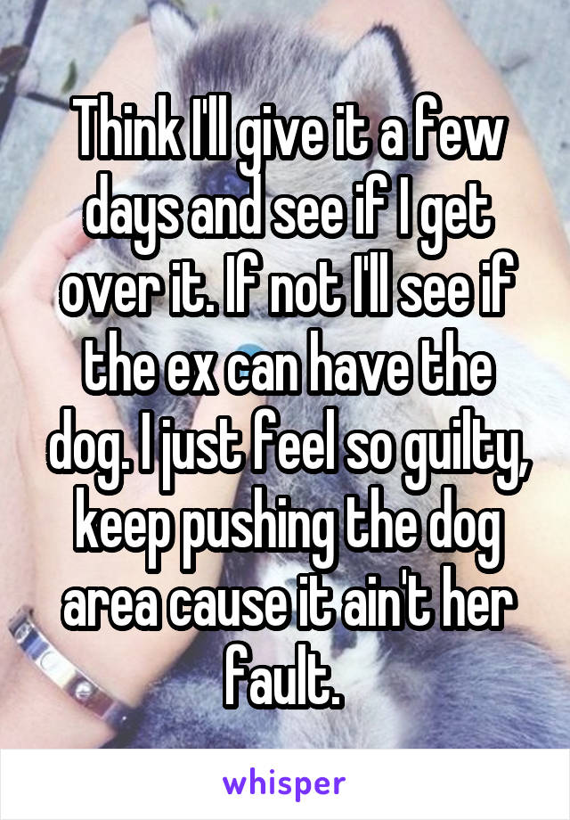 Think I'll give it a few days and see if I get over it. If not I'll see if the ex can have the dog. I just feel so guilty, keep pushing the dog area cause it ain't her fault. 