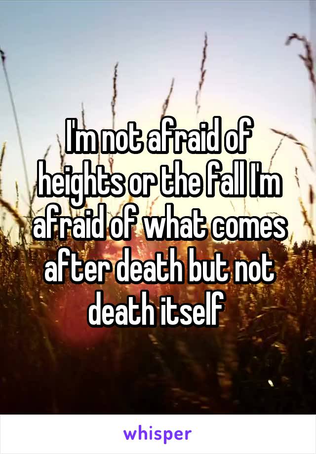 I'm not afraid of heights or the fall I'm afraid of what comes after death but not death itself 