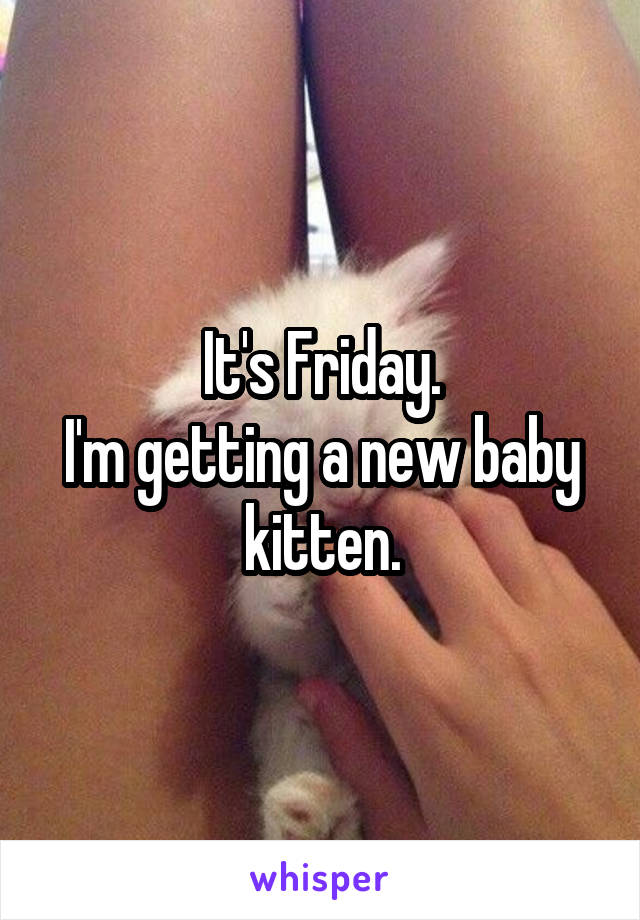 It's Friday.
I'm getting a new baby kitten.