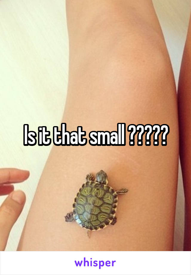 Is it that small ?????