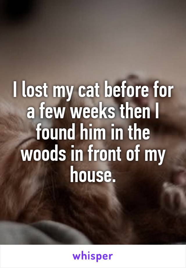 I lost my cat before for a few weeks then I found him in the woods in front of my house.