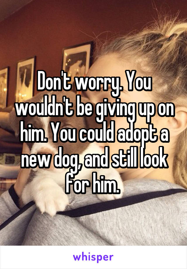 Don't worry. You wouldn't be giving up on him. You could adopt a new dog, and still look for him. 