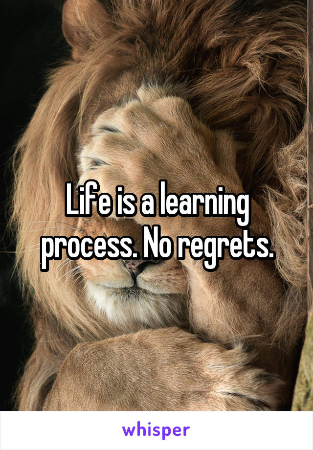Life is a learning process. No regrets.