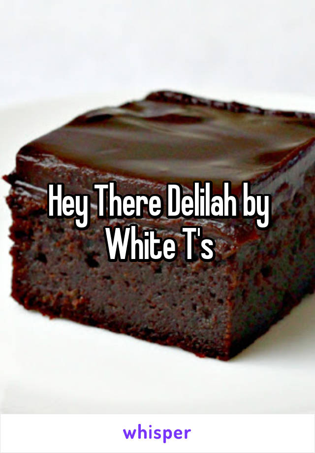 Hey There Delilah by White T's
