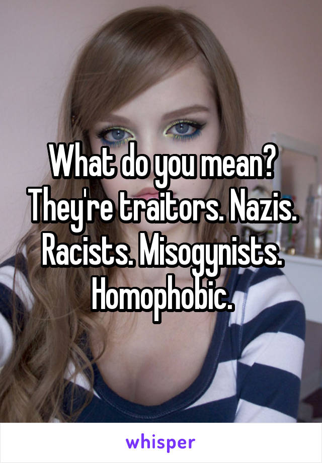 What do you mean? They're traitors. Nazis. Racists. Misogynists. Homophobic.