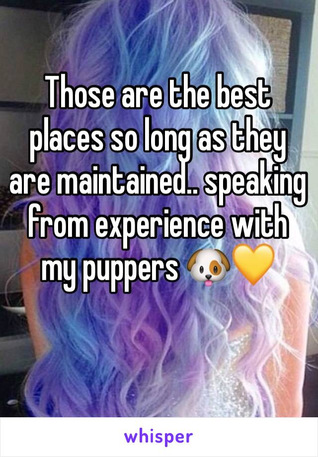 Those are the best places so long as they are maintained.. speaking from experience with my puppers 🐶💛