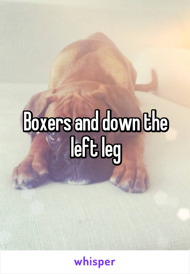 Boxers and down the left leg